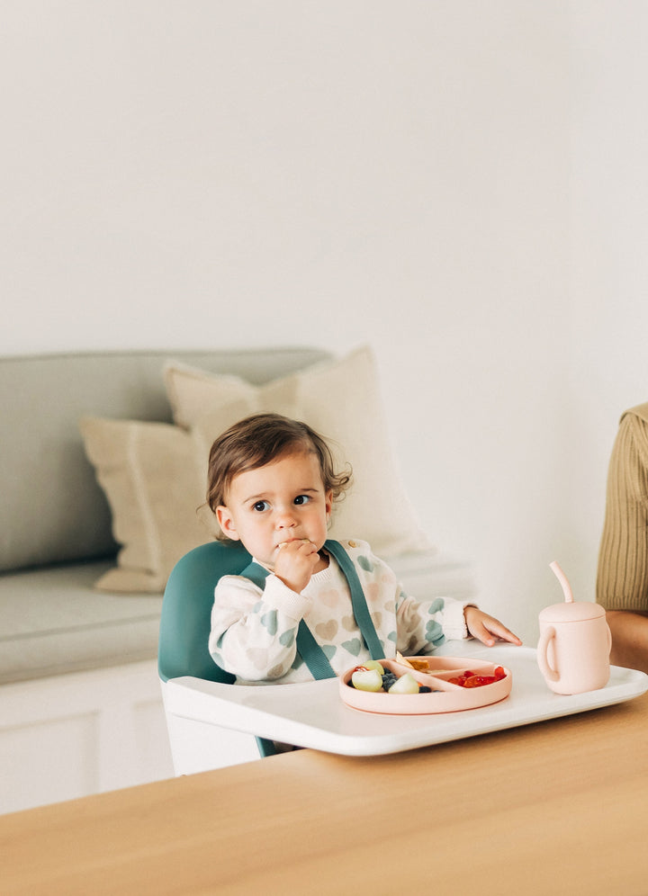 UPPAbaby Ciro High Chair (Emrick)