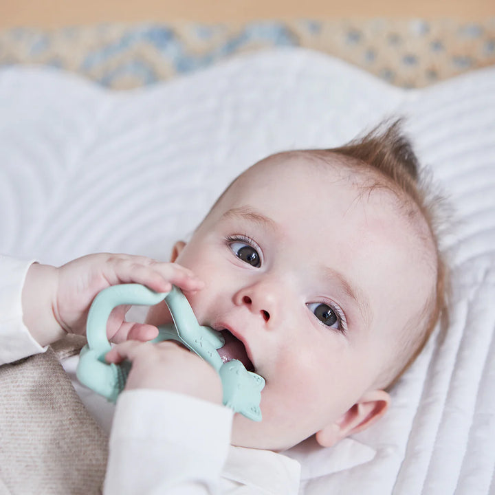 B.Box Wrist Teether (Sage)
