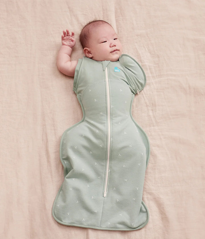 Love To Dream Swaddle Up Transition Bag 1.5 TOG (Olive Twigs)