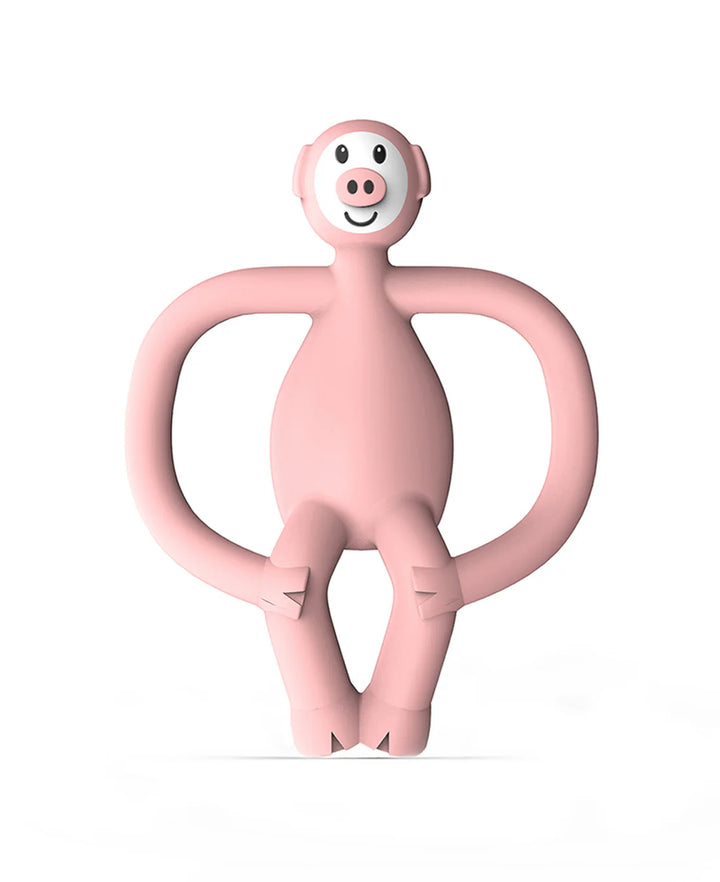 Matchstick Monkey Animal Teether (Pickle Pig)