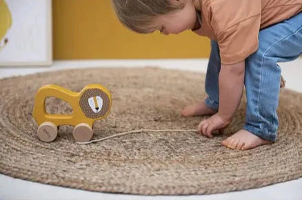 Trixie Wooden Pull Along Toy (Mr Lion)