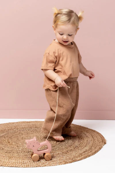 Trixie Wooden Pull Along Toy (Mrs Cat)