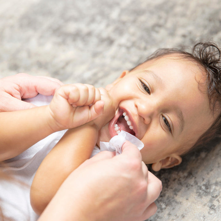 Dr. Brown's Nose & Face Wipes (30 Count)-Health-Dr. Browns-026383-babyandme.ca