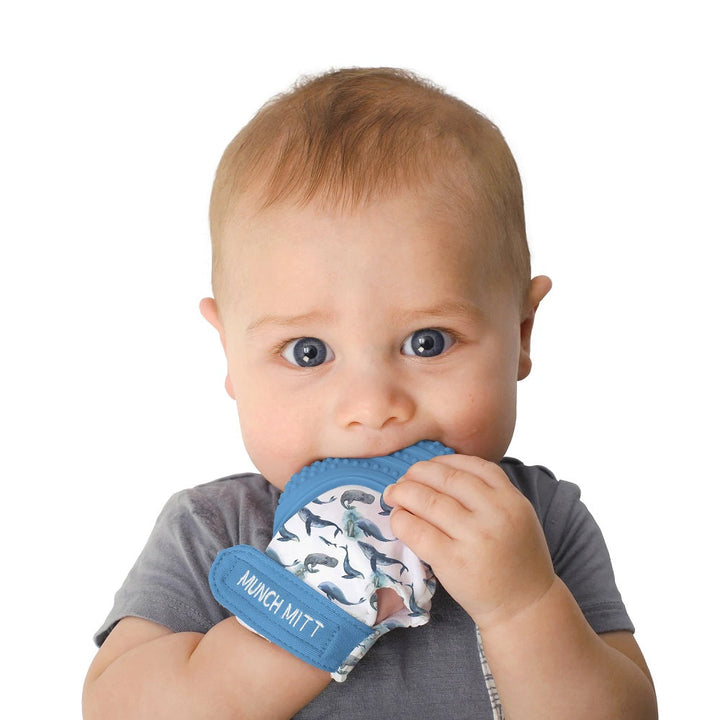 Malarkey Kids Munch Mitt (Whales)-Health-Malarkey Kids-010343 WH-babyandme.ca