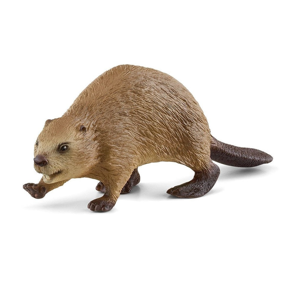 Schleich Beaver-Toys & Learning-Schleich-021066 BV-babyandme.ca