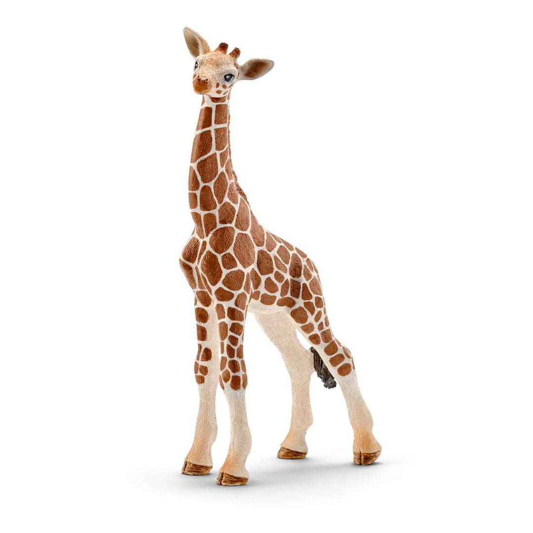 Schleich Giraffe Calf-Toys & Learning-Schleich-021066 GC-babyandme.ca