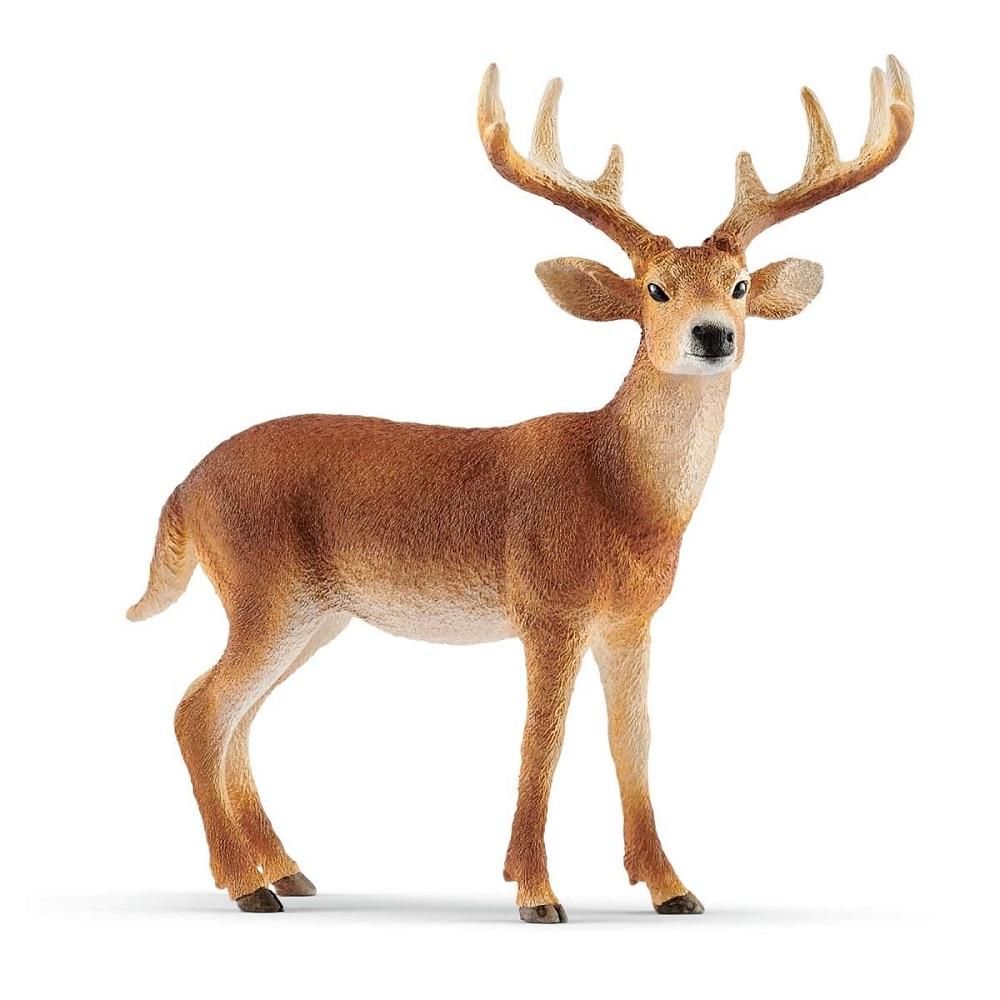 Schleich White Tailed Buck-Toys & Learning-Schleich-008165 WTB-babyandme.ca