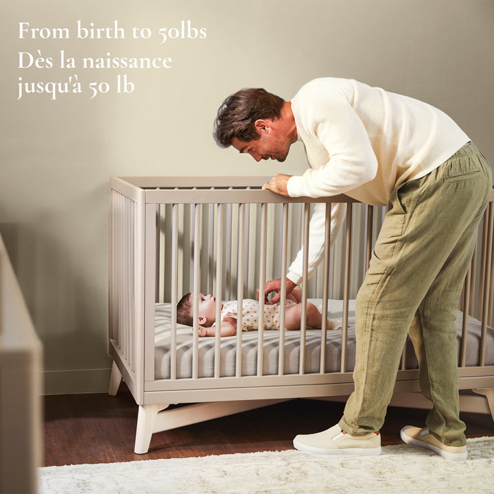 Little Seeds Pala 4-in-1 Crib (Taupe/Whitewash)