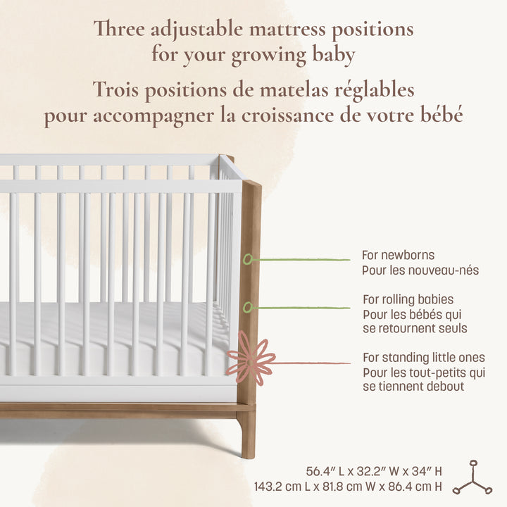 Little Seeds Laurel 4-in-1 Crib (White/Chestnut)