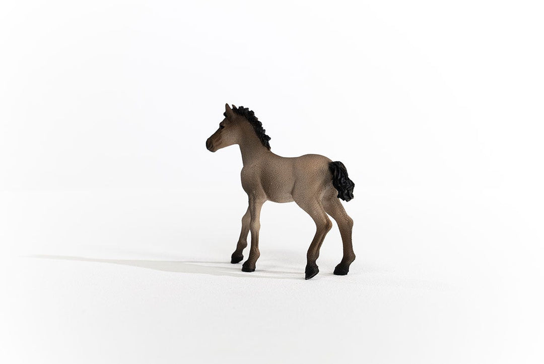Schleich Criollo Definitivo Foal