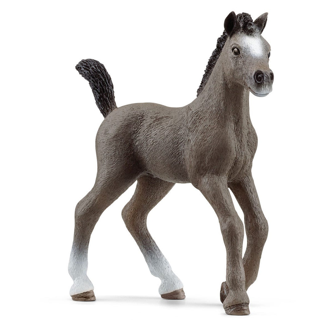 Schleich Cheval de Selle Fr. foal