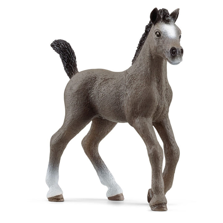Schleich Cheval de Selle Fr. foal