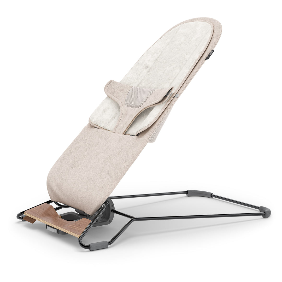 UPPAbaby Mira 2-in-1 Bouncer and Seat (Charlie)