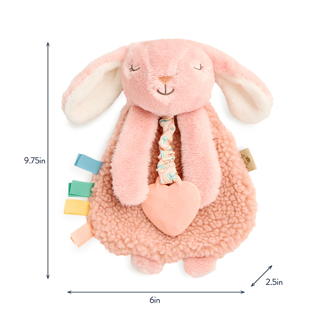 Itzy Ritzy Itzy Friends Lovey Plush (Ana the Bunny)