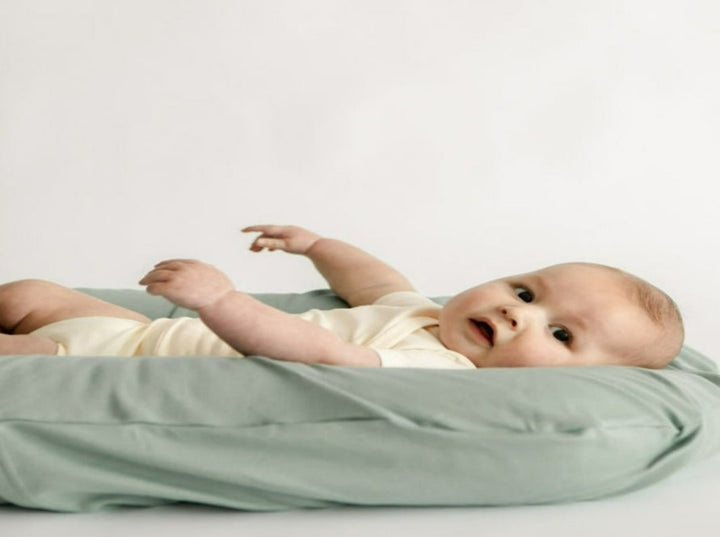 Snuggle Me Organic Infant Lounger Cover-Slate-Gear-Snuggle Me Organic-031948 SLA-babyandme.ca