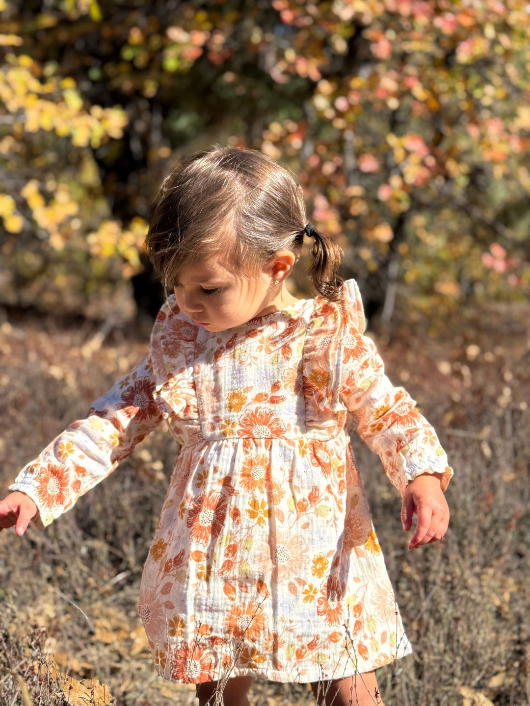 Vignette Piper Dress (Fall Blooms)