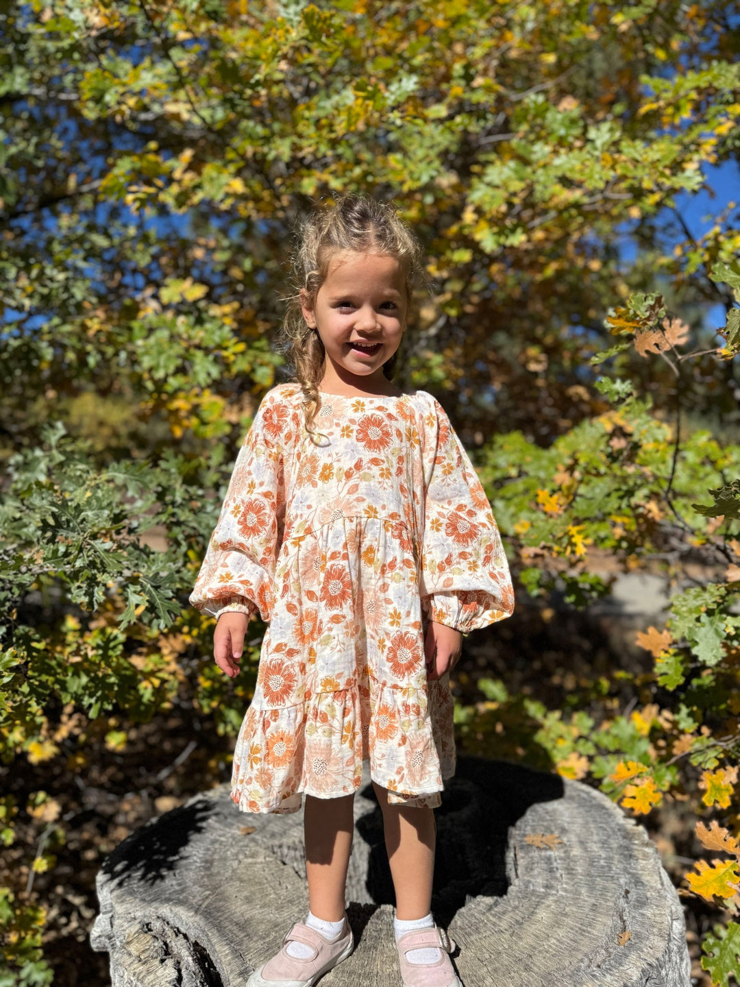 Vignette Emery Dress (Fall Blooms)