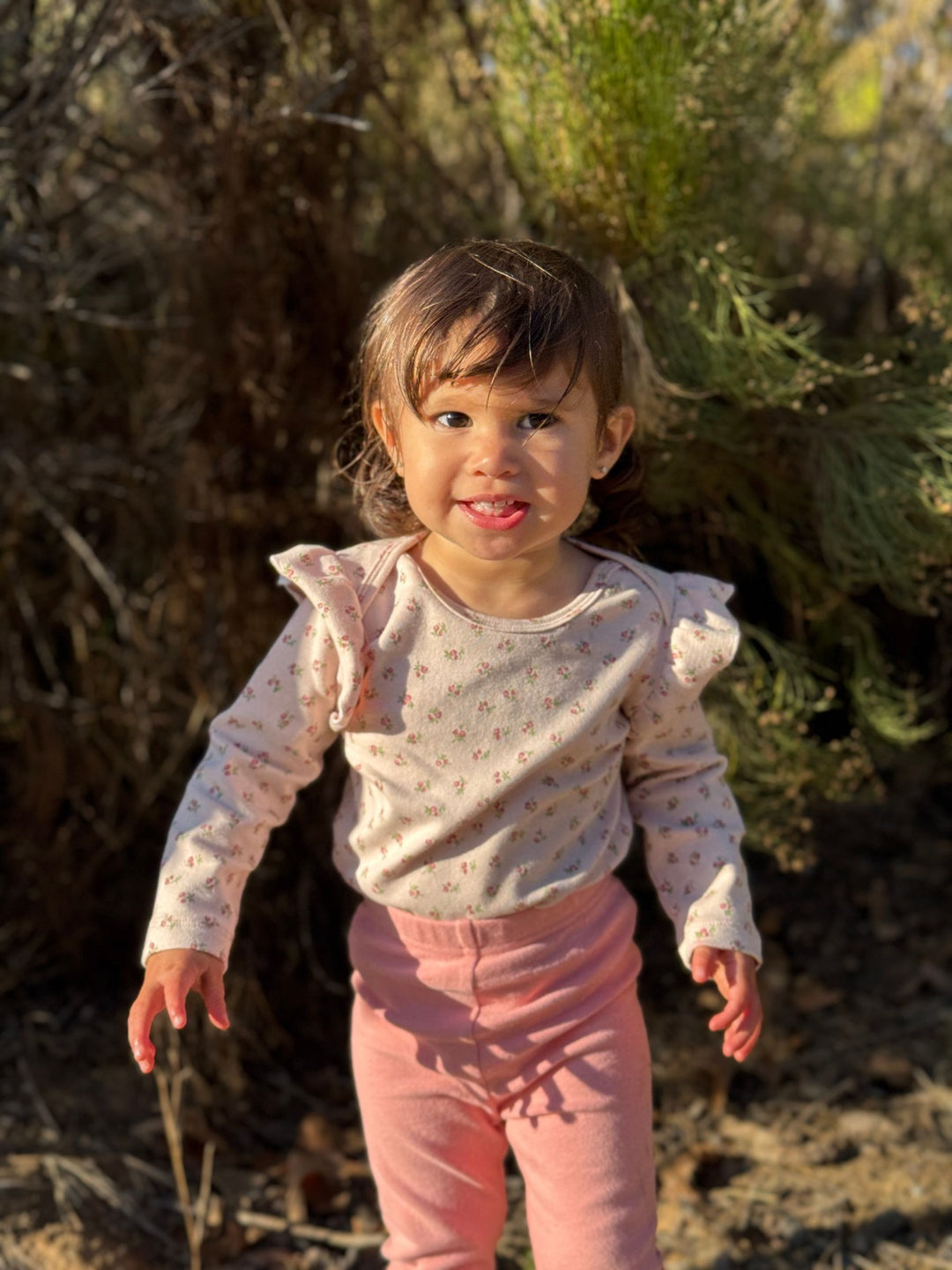 Vignette Frances Onesie (Rose Acorns)