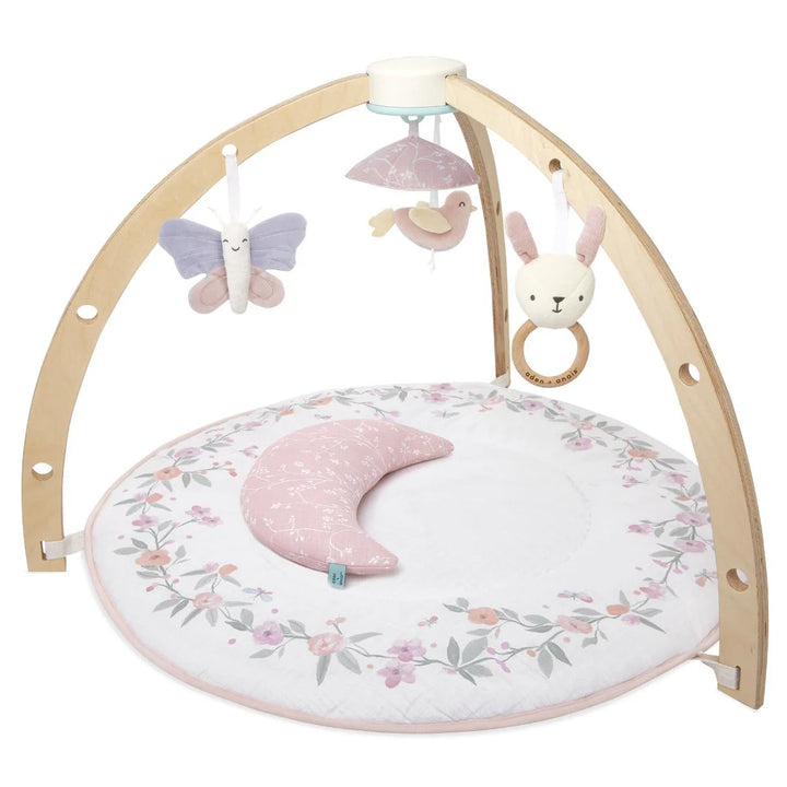 Aden + Anais Baby Activity Gym (Ma Fleur)