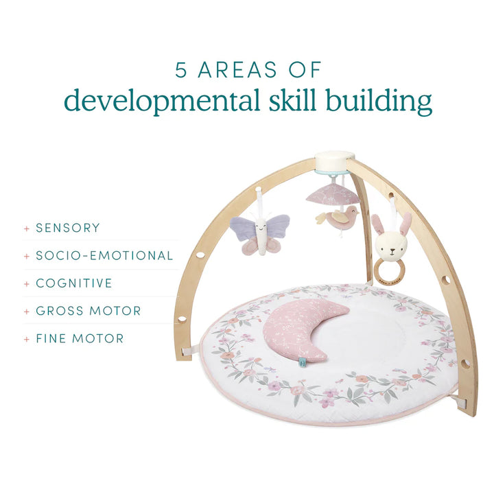 Aden + Anais Baby Activity Gym (Ma Fleur)