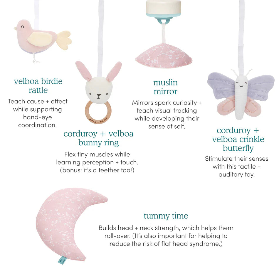 Aden + Anais Baby Activity Gym (Ma Fleur)