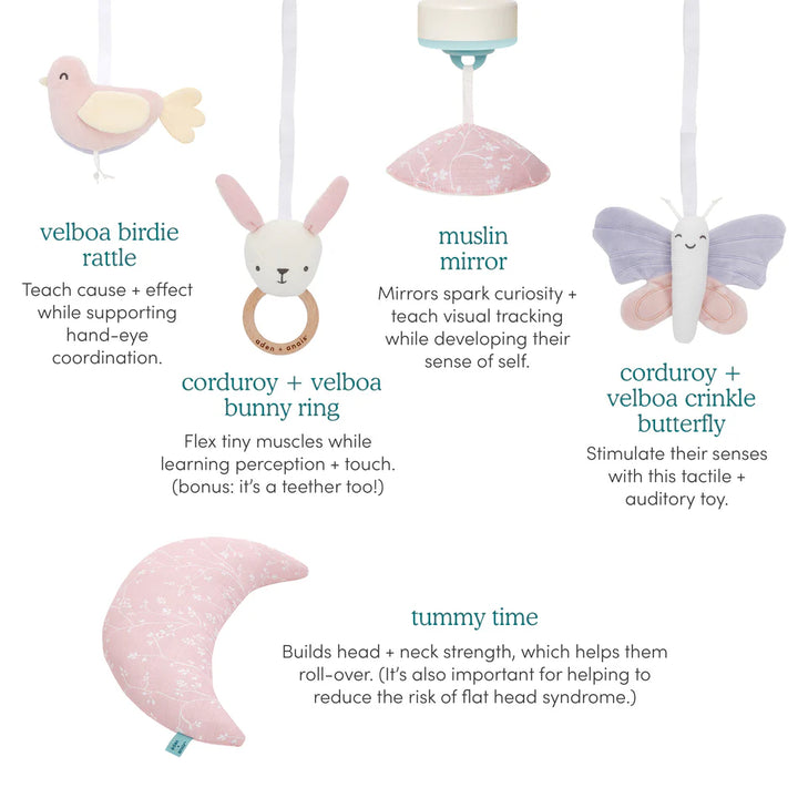 Aden + Anais Baby Activity Gym (Ma Fleur)