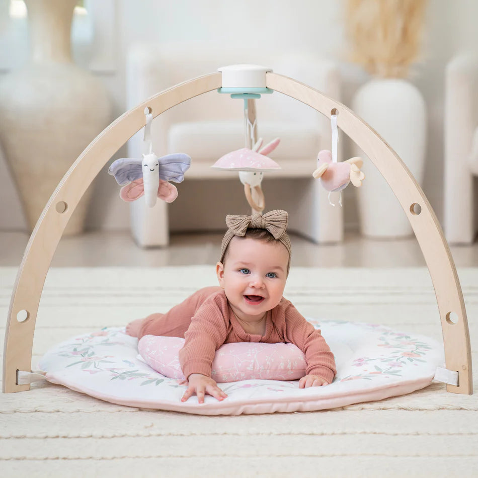 Aden + Anais Baby Activity Gym (Ma Fleur)