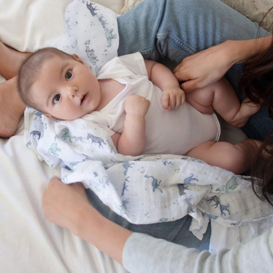Aden + Anais Boutique Swaddle Set 4-Pack (Rising Star)