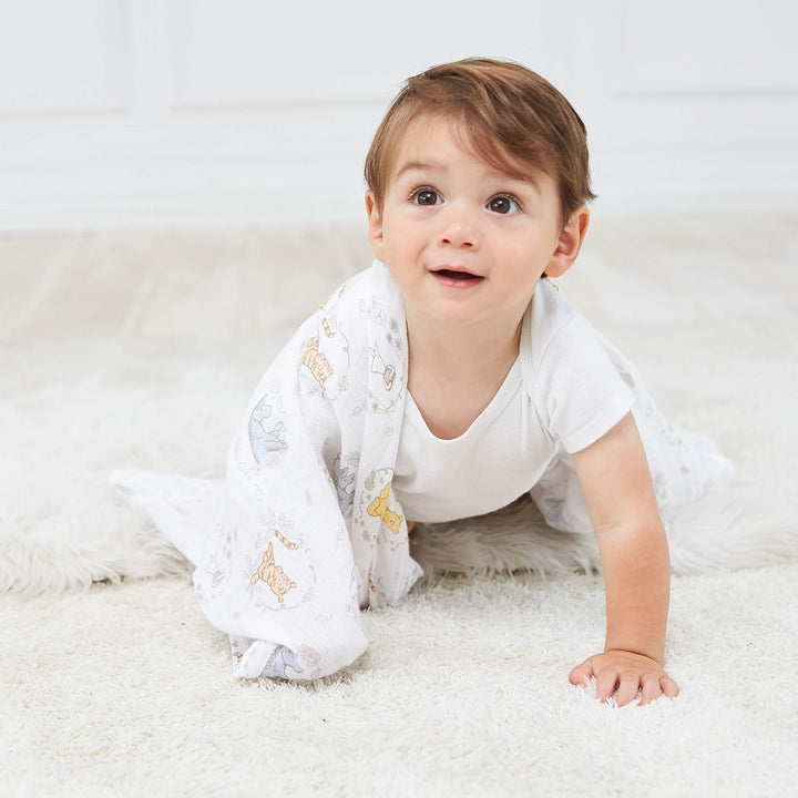 Aden + Anais Essentials Swaddle Set 4-Pack (Winnie + Friends)