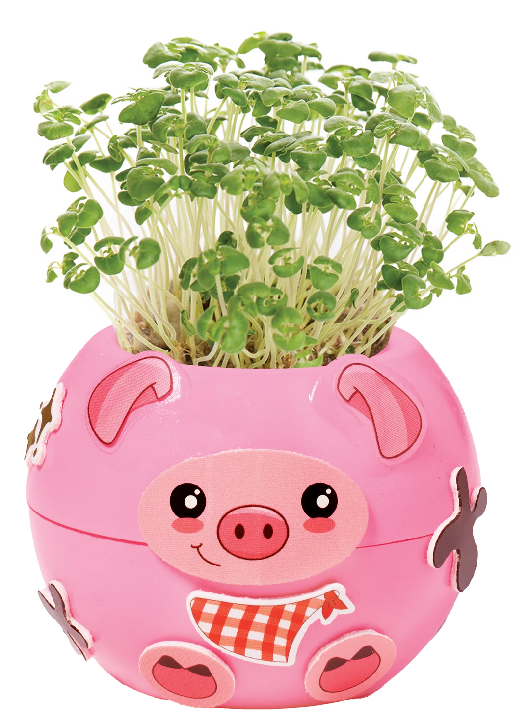 Creativity for Kids Plant-A-Pet (Barnyard Pig)