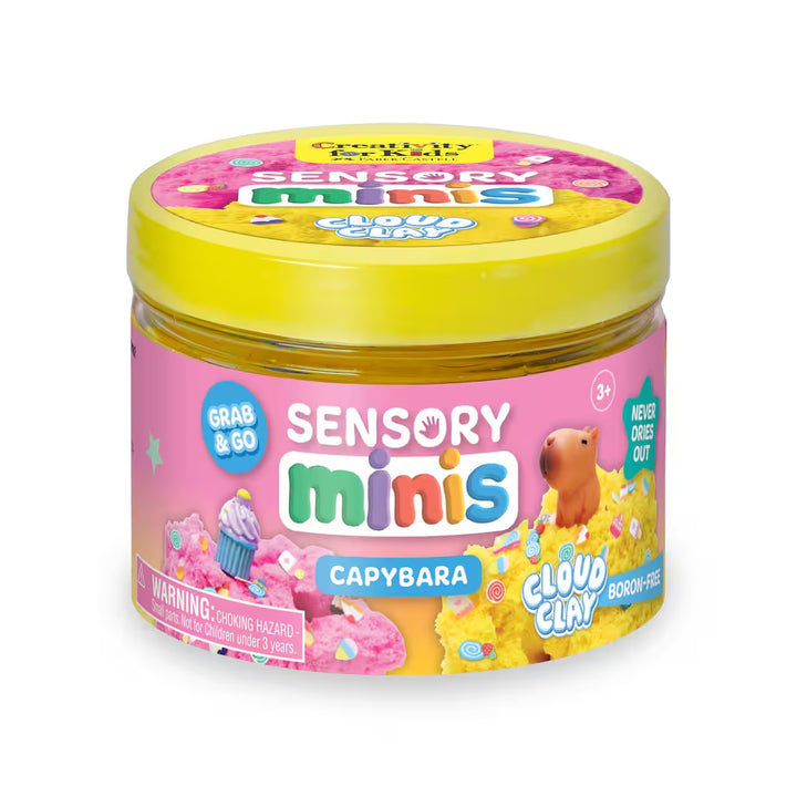 Creativity for Kids Sensory Minis (Capybara)