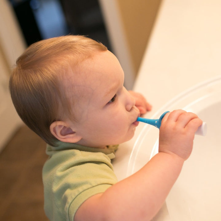 Dr. Brown's Infant to Toddler Toothbrush Pink