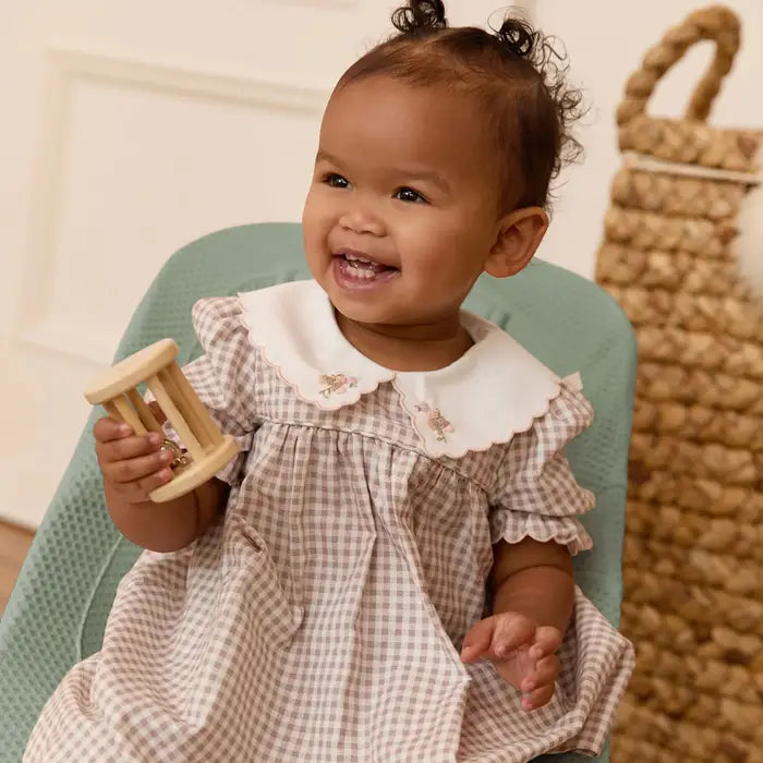 Ergobaby 3-in-1 Evolve Bouncer (Sage Green Mesh)
