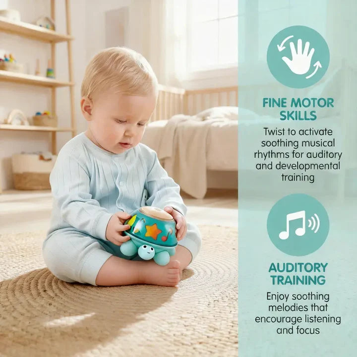Hape Twist &amp; Tune Turtle