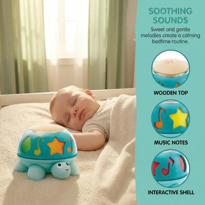Hape Twist &amp; Tune Turtle