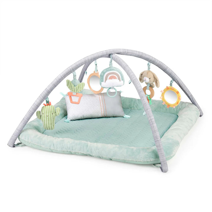 Ingenuity Calm Springs Plush Activity Gym (Chic Boutique)
