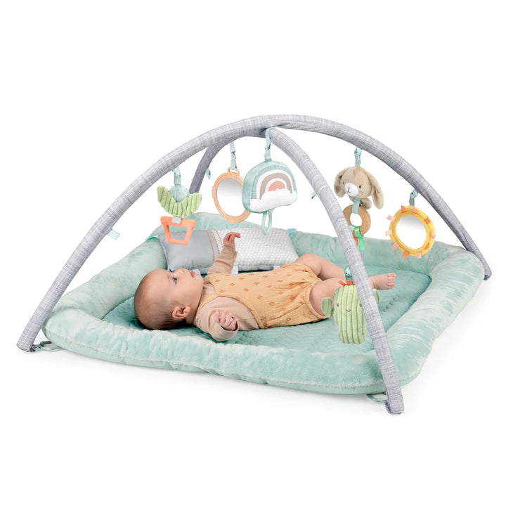 Ingenuity Calm Springs Plush Activity Gym (Chic Boutique)