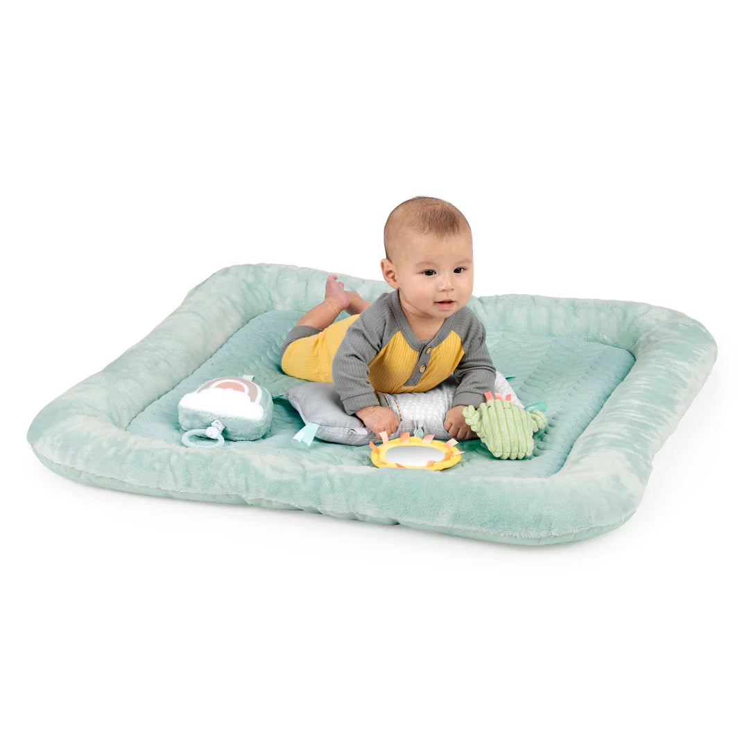 Ingenuity Calm Springs Plush Activity Gym (Chic Boutique)