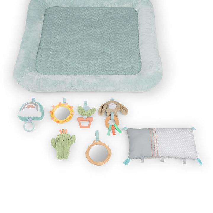 Ingenuity Calm Springs Plush Activity Gym (Chic Boutique)