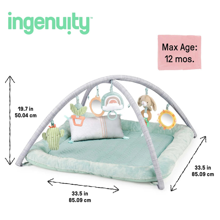 Ingenuity Calm Springs Plush Activity Gym (Chic Boutique)
