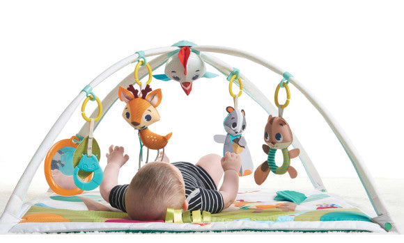 Tiny Love Deluxe Forest Friends Collection Gymini