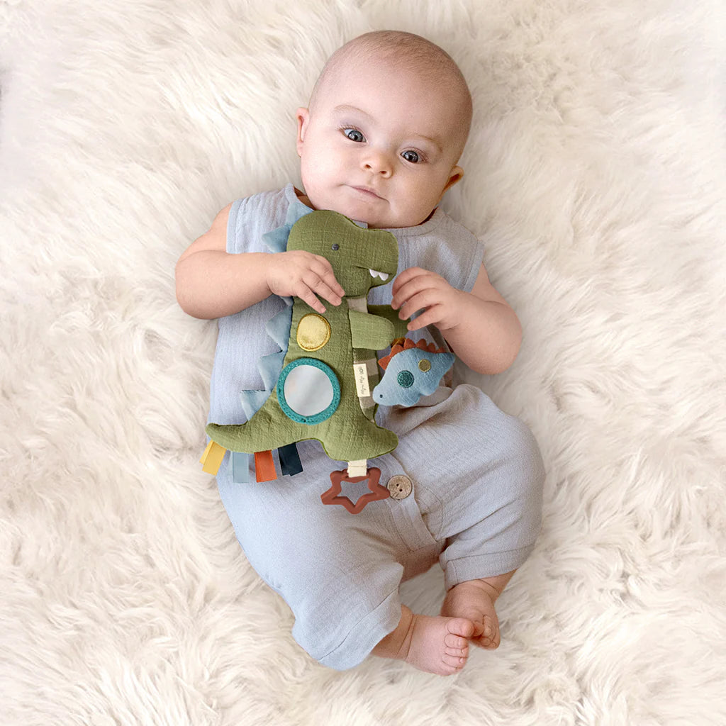 Itzy Ritzy Bitzy Traveler (Dinosaur)