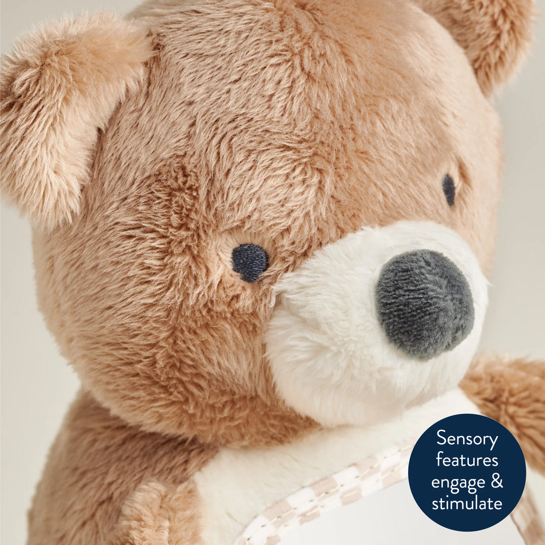 Itzy Ritzy Itzy Bitzy Mirror (Theo the Bear)