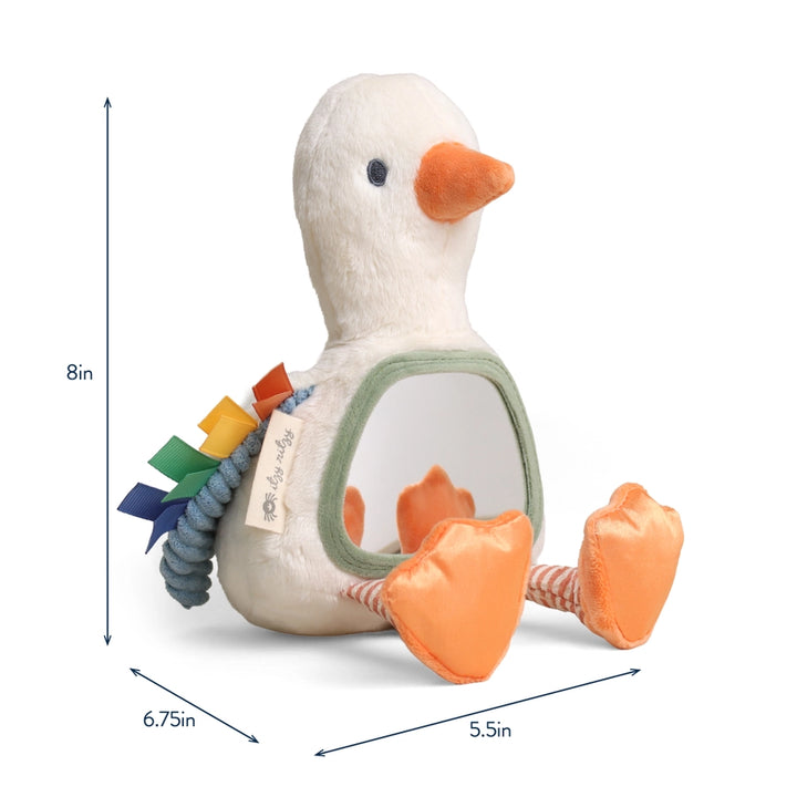 Itzy Ritzy Itzy Bitzy Sensory Tummy Time Mirror (Goose)