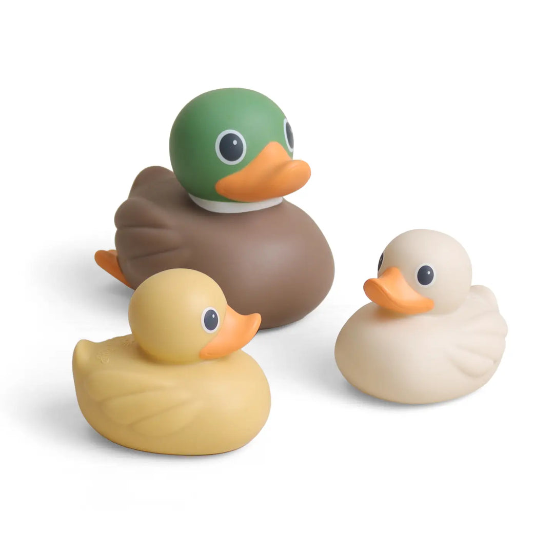 Itzy Ritzy Itzy Ducky Family (Mallard)