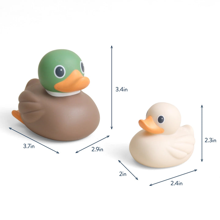 Itzy Ritzy Itzy Ducky Family (Mallard)