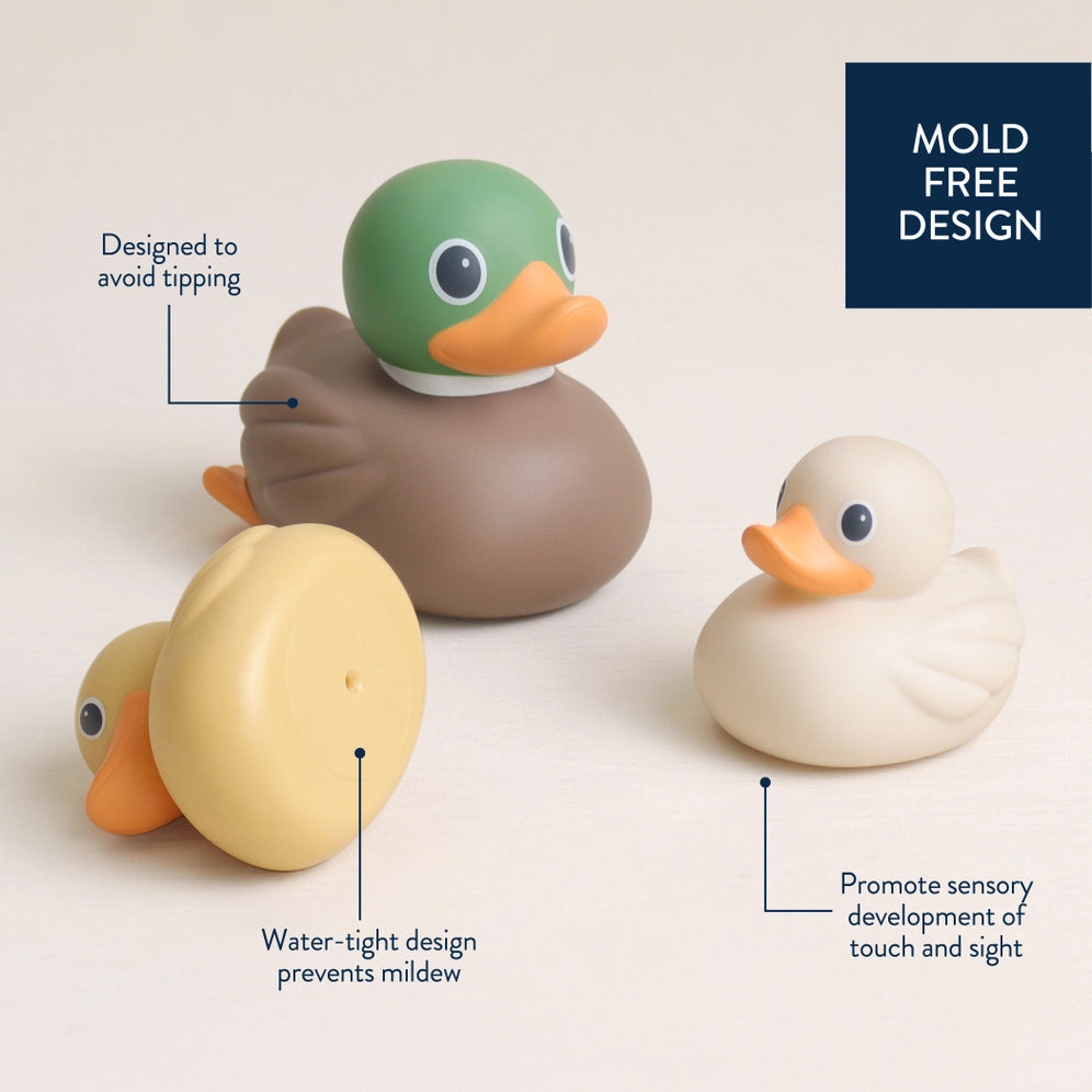 Itzy Ritzy Itzy Ducky Family (Mallard)