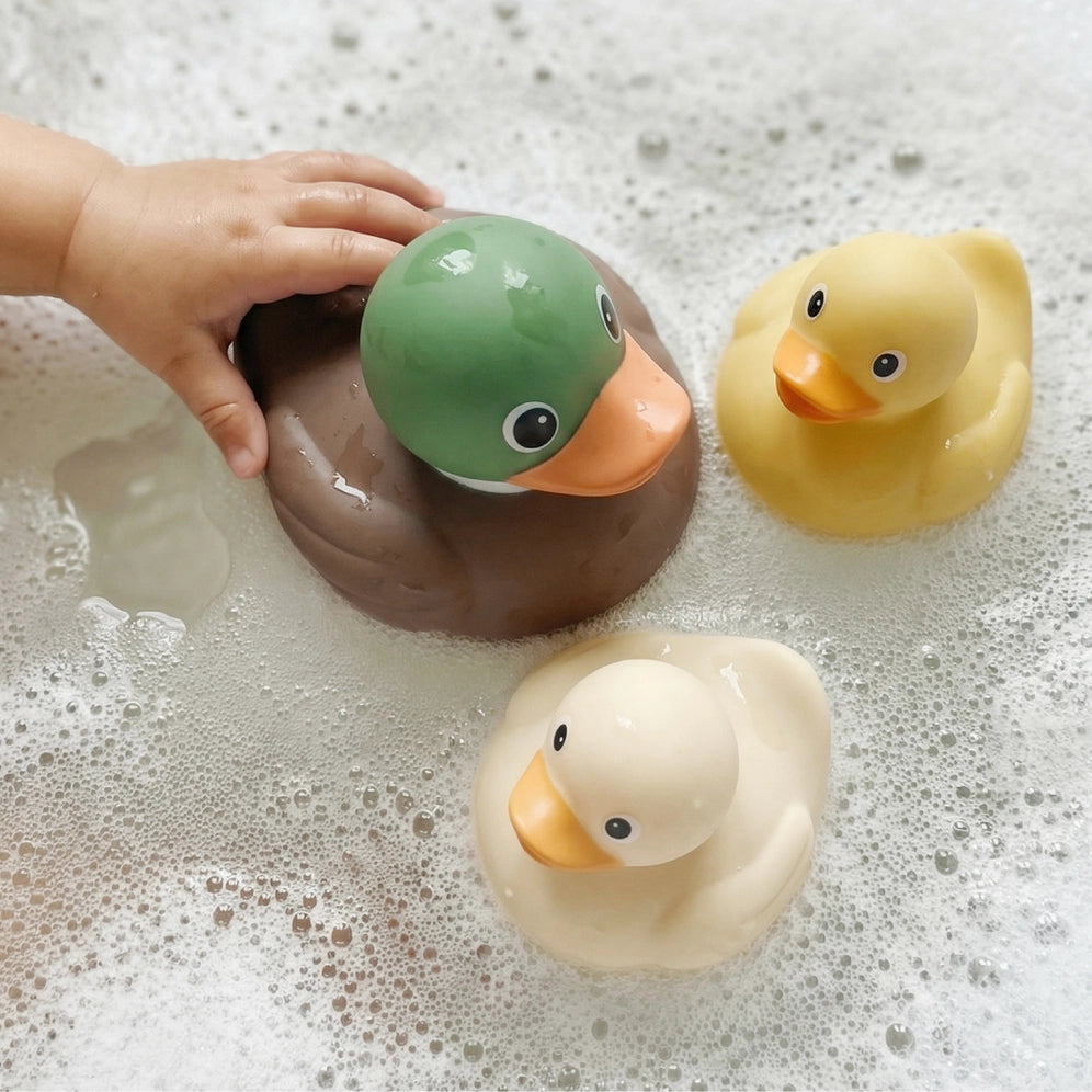 Itzy Ritzy Itzy Ducky Family (Mallard)