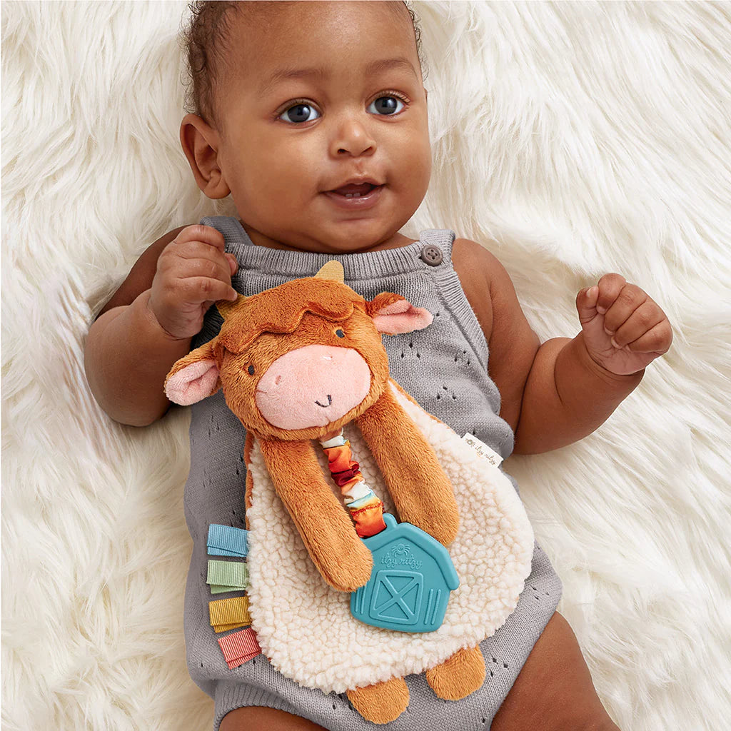 Itzy Ritzy Itzy Friends Lovey Plush (Wyatt the Highland Cow)
