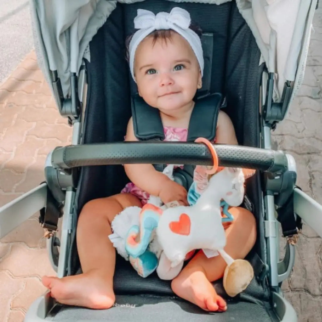 Itzy Ritzy Link & Love (Unicorn)